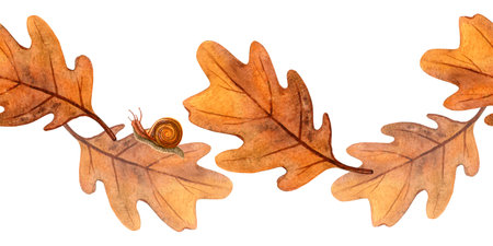 Autumn oak leaves and snails seamless border. Colorful fall watercolor bordure of foliage and escargot Floral banner perfect for home fabric, textile, kitchenware, bed cloth, wrapping, templateの写真素材