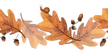 Elegant autumn seamless bordure - oak leaves, acorns, snails. Seasonal fall watercolor border of bright foliage and escargot Perfect for home fabric, floral textile, kitchenware, bedclothes, wrappingの写真素材