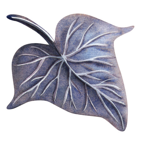 Dark purple ivy leaf. Gothic botanical isolated watercolor illustration. Perfect for Halloween design, gothic stationery, or dark bouquet and print. Detailed mystical floral element for postcard, cardの写真素材