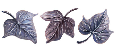 Dark purple and blue night ivy foliage. Gothic mysterious floral watercolor illustration. Perfect for Halloween decoration, midnight composition, magic or witch set, whimsical design, elegant print.の写真素材