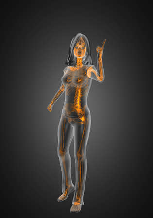 cute woman radiography made in 3D graphicsの写真素材