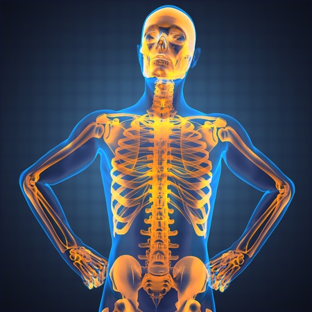 human radiography scan made in 3Dの写真素材