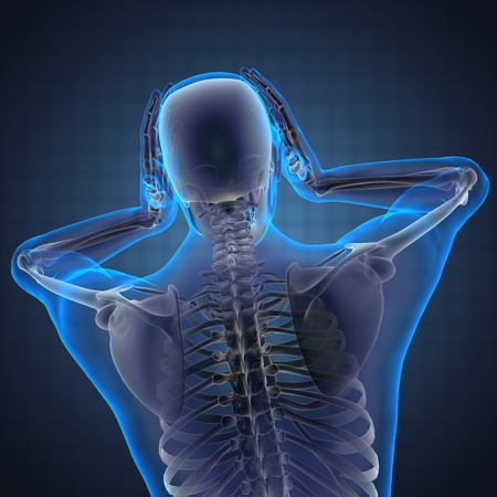 human radiography scan made in 3Dの写真素材