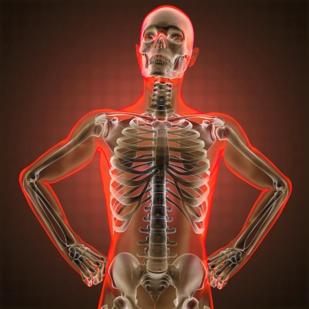 human radiography scan made in 3D human radiography scan made in 3D