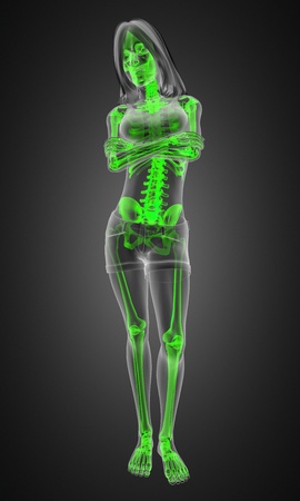standing woman radiography made in 3Dの写真素材