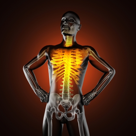 human radiography scan made in 3Dの写真素材