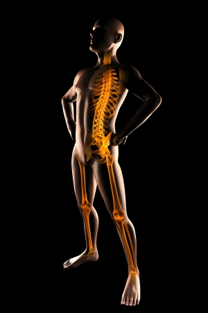 human radiography scan on blackの写真素材