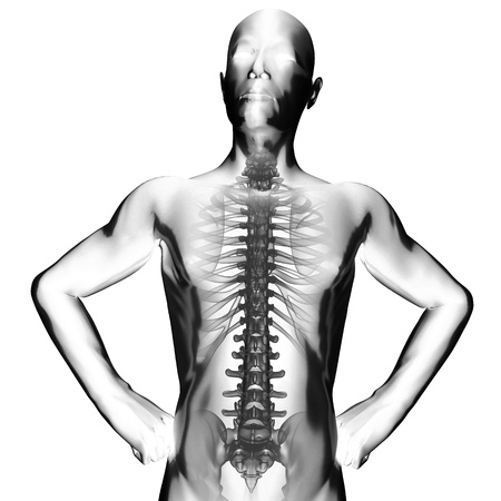 human radiography scan on whiteの写真素材