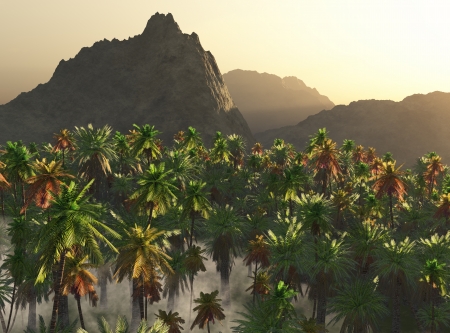 palms in fog and mountainsの写真素材