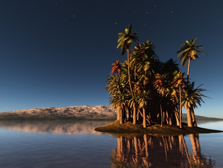 palm island at nightの写真素材