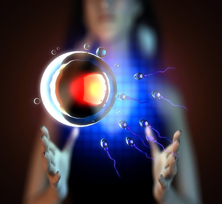 sperm and egg cell on hologram