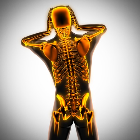 human radiography scan  with glowing bonesの写真素材
