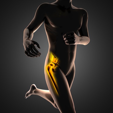 human radiography scan  with glowing bonesの写真素材