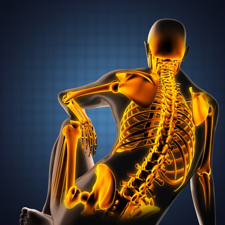 human radiography scan with glowing bones human radiography scan with glowing bones