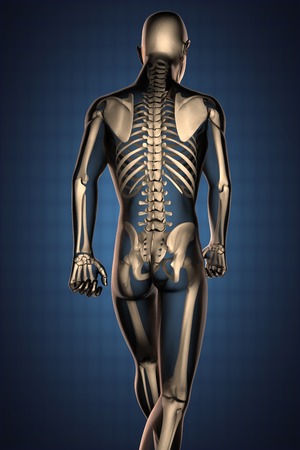 human radiography scan  with bonesの写真素材