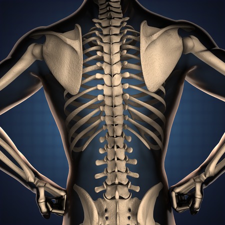 human radiography scan  with bones