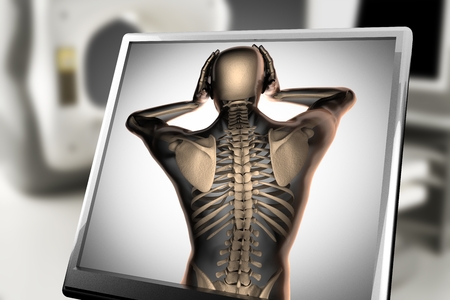 human bones radiography scan. x-ray  image