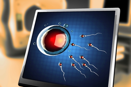 sperm and egg cell. microscopic image at monitor