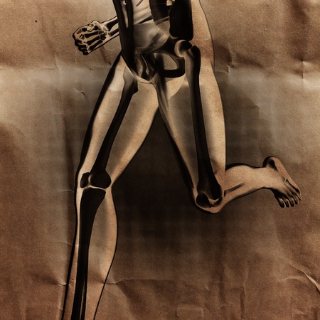 human radiography scan  with bones paintedの写真素材