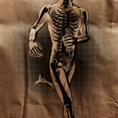 human radiography scan  with bones paintedの写真素材