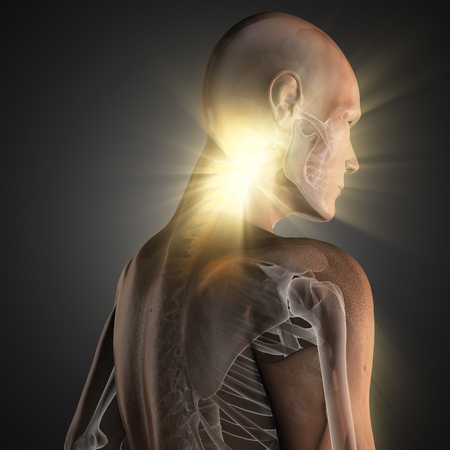 human bones radiography scan imageの写真素材