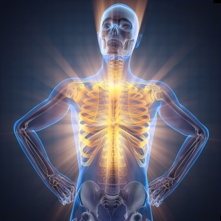 human bones radiography scan imageの写真素材