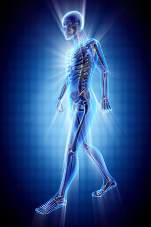 human bones radiography scan imageの写真素材