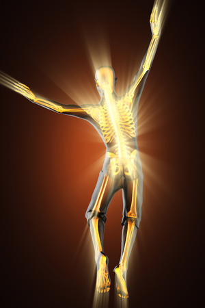 human bones radiography scan imageの写真素材