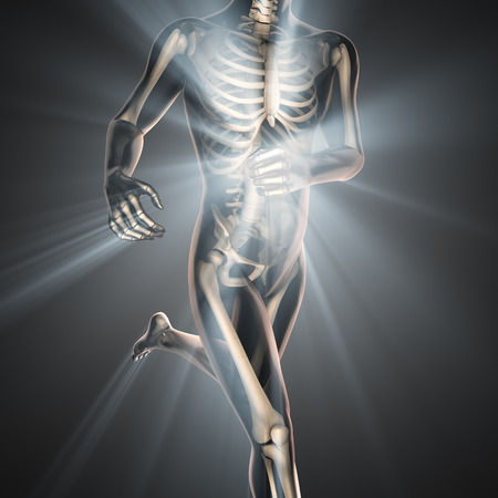 human bones radiography scan imageの写真素材