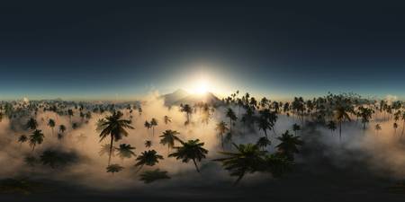 panorama of palms in desert at sunset. made with the one 360 degree lense camera without any seams....