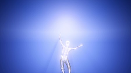 human skeleton radiography medical scanの写真素材