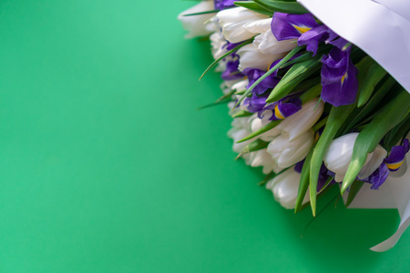 White tulips on white backgroundの写真素材