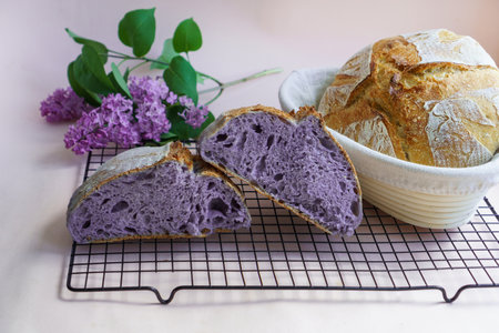 Home made purple breadの写真素材