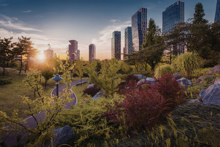 A serene city park at sunset with lush greenery and modern skyscrapers in the background.の写真素材