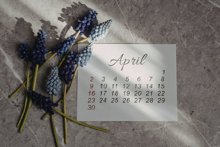 A calendar for the month of April with purple flowers on a gray surface.