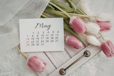 A may calendar surrounded by pink and white tulips on a pink wooden background