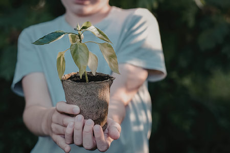 A person wearing a light blue t-shirt holds out a small potted plant with green leaves in a brown...