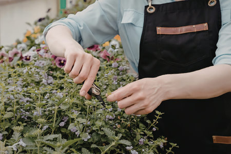 A person wearing a black apron with brown leather accents is shown tending to a plant with small...