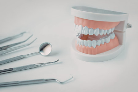 A dental model with white teeth and a set of dental tools on a white background