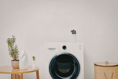 A washing machine in a minimalist room with plants on a table and a wooden cabinet.