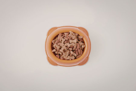 An orange bowl filled with dog food on a white background