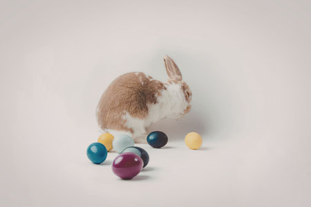 A brown and white rabbit playing with colorful Easter eggs on a white background