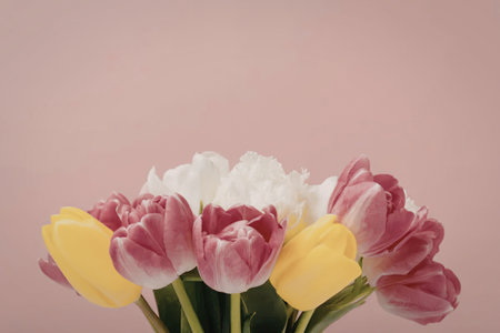 A vibrant bouquet of pink, yellow, and white tulips against a soft pink background
