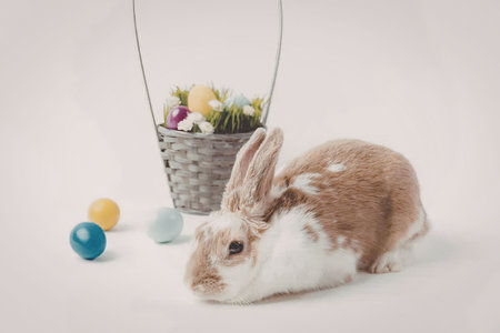 A brown and white rabbit sitting next to a basket filled with flowers and Easter eggs