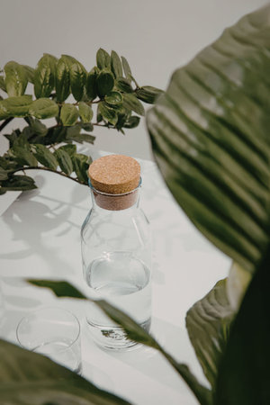 A clear glass bottle with a cork stopper and a glass beside it, surrounded by green leaves on a white surface.の写真素材