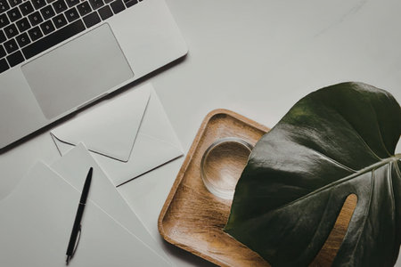 A modern workspace setup featuring a laptop, a plant, and office supplies on a clean white desk.