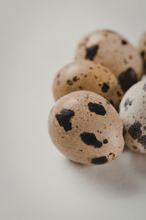 Close-up of quail eggs with brown and black spots on a white surfaceの写真素材