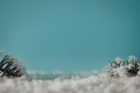 A serene snowy landscape with a clear blue sky.