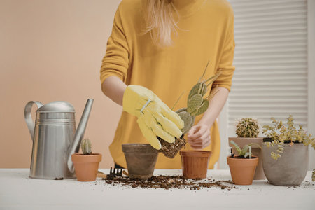 A woman in a yellow shirt and green gloves planting a small green plant into a pot on a table with...