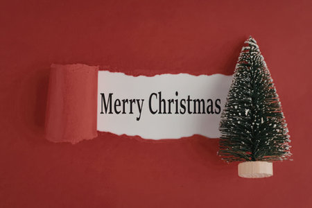 Miniature christmas tree stands beside a torn red paper revealing merry christmas message on a vibrant red background.の写真素材